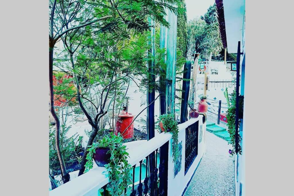 Gran Canaria La Finca De Carmelita Y Bartolito Las Palmas de Gran Canaria Eksteriør billede